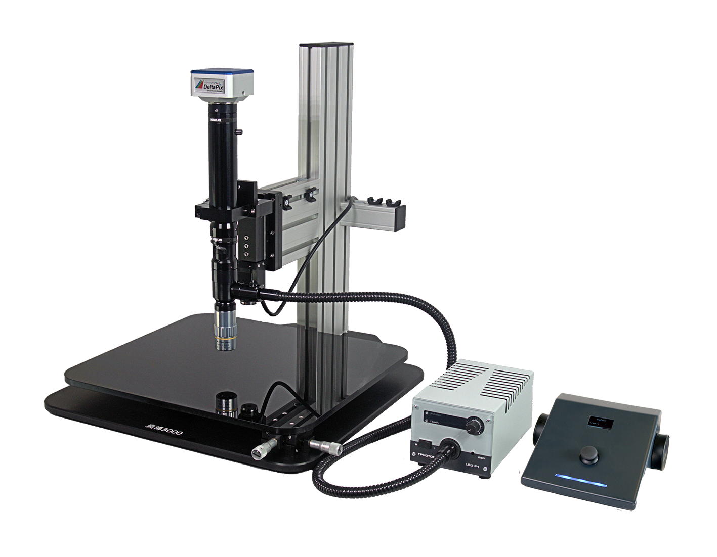 digital microscope 3D